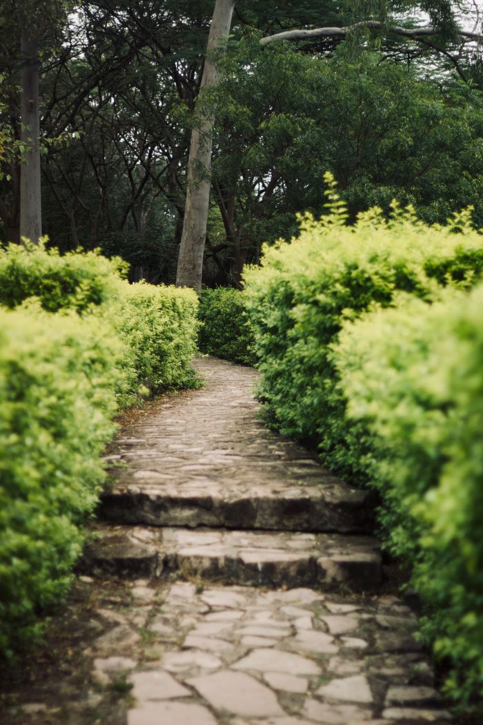 about-04 A picturesque stone pathway bordered by lush greenery, inviting exploration in a tranquil garden.