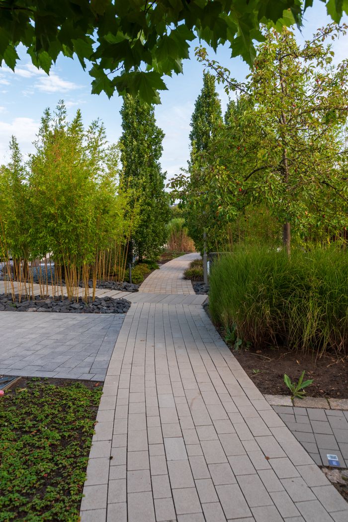 about-01 A tranquil garden pathway surrounded by lush trees and shrubs under a bright sky.